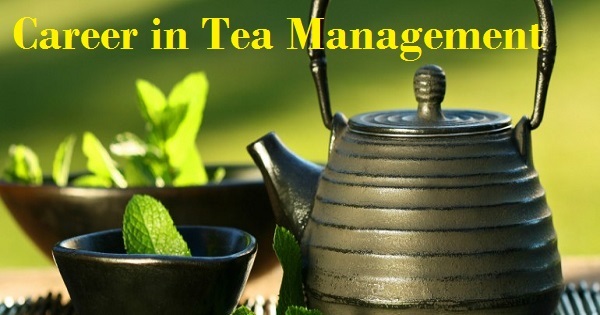 Tea Management Course, Course in Tea Management, Course on Tea Testing, Tea Testing Course