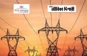 রাজ্য বিদ্যুতে কর্মী নিয়োগ WBSEDCL Recruitment 2025