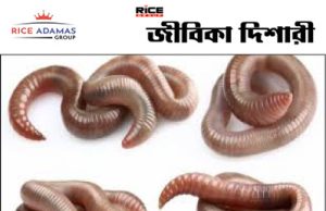 পালটাচ্ছে কেঁচোর ডিএনএ