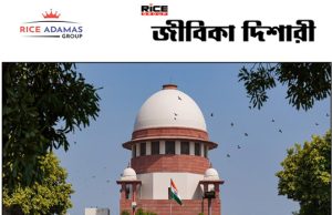 ওবিসি মামলা ফিরল হাই কোর্টেই, এ বার কলেজে ভরতির জট কাটবে?