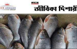 মাছ উৎপাদনে ক্রমশ স্বনির্ভর হয়ে উঠছে পশ্চিমবঙ্গ।