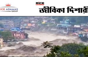 টেক্সাস ও হিমাচলে হড়পা বানে ভয়ঙ্কর বার্তা আগামী দিনের