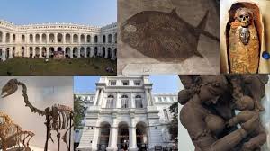 ভারতীয় জাদুঘরে টাইপিস্ট নিয়োগ