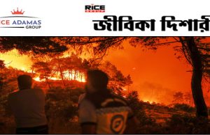 ভয়াবহ দাবানল– এক নতুন সংকটের মুখে সিরিয়া