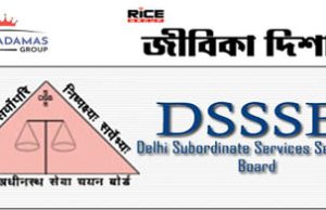 দিল্লি সাবঅর্ডিনেট সার্ভিসেস সিলেকশন বোর্ড (DSSSB) কর্মী নেবে