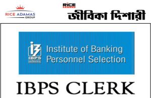১০ হাজারের বেশি শূন্য পদে ব্যাঙ্কের জন্য় কর্মী নেবে IBPS