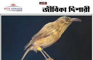 কয়েক দশকে ৩০০ কোটি পাখি বিলুপ্ত হয়েছে