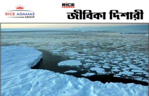 অ্যান্টার্কটিকায় গভীর সমুদ্রের তলদেশে মাছেদের নতুন আবাসস্থলের সন্ধান