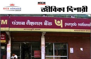 পাঞ্জাব ন্যাশনাল ব্যাঙ্কে অ্যাপ্রেন্টিস PNB Apprentices Recruitment 2026