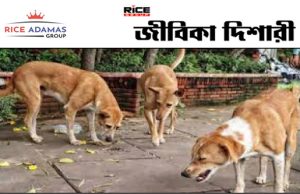 কারেন্ট অ্যাফেয়ার্স ১৪.১.২০২৬