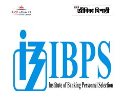 ব্যাঙ্কে ৬৭১৫ প্রবেশনারি অফিসার নিয়োগ IBPS PO Recruitment 2026