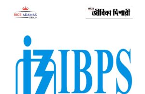আইবিপিএস ক্লার্ক পরীক্ষার ফলাফল IBPS Clerk Exam Result out