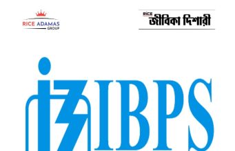 আইবিপিএস ক্লার্ক পরীক্ষার ফলাফল IBPS Clerk Exam Result out