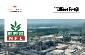 ন্যাশনাল ফার্টিলাইজারে ম্যানেজমেন্ট ট্রেনি নিয়োগ NFL Management Trainee Recruitment