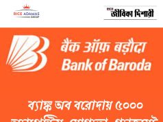 ব্যাঙ্ক অব বরোদায় অ্যাপ্রেন্টিস Bank of Baroda Apprentice