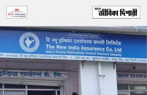 স্নাতক যোগ্যতায় অ্যাপ্রেন্টিস NIACL Apprentices Recruitment