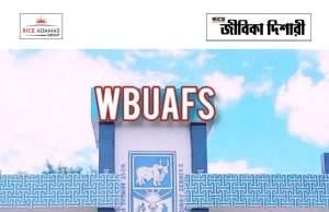 ডিপ্লোমা ও আন্ডার গ্র্যাজুয়েট কোর্সে ভর্তি Admission Notice 2026