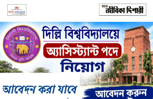দিল্লি বিশ্ববিদ্যালয়ে নিয়োগ
